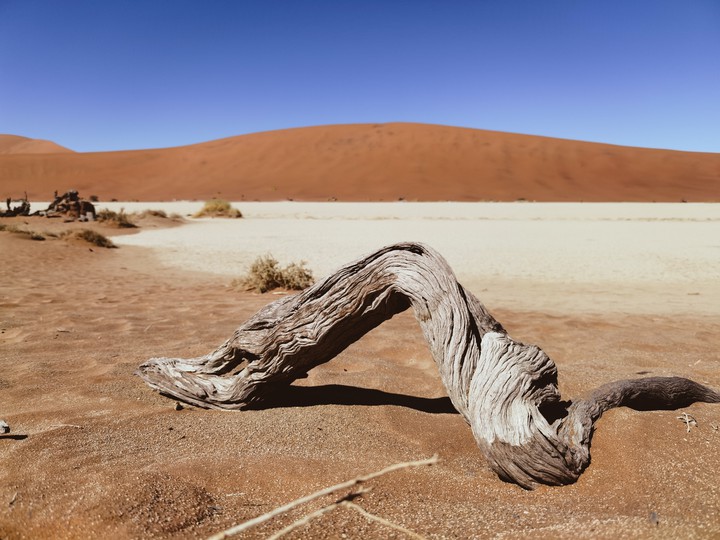 Deadvlei, Sossusvlei, Namibia