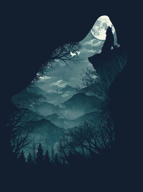 loner wolf