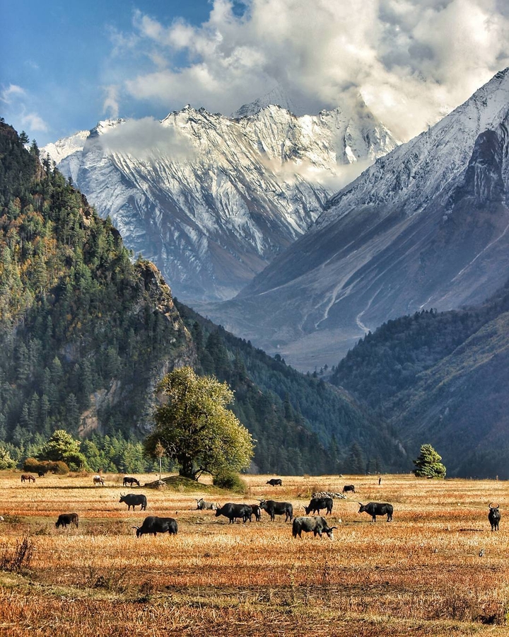 Nepal