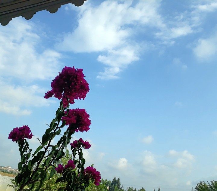 renklerin güzelliği