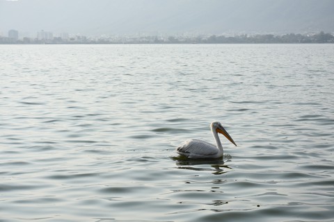 India lake