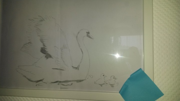 My First draw!!!