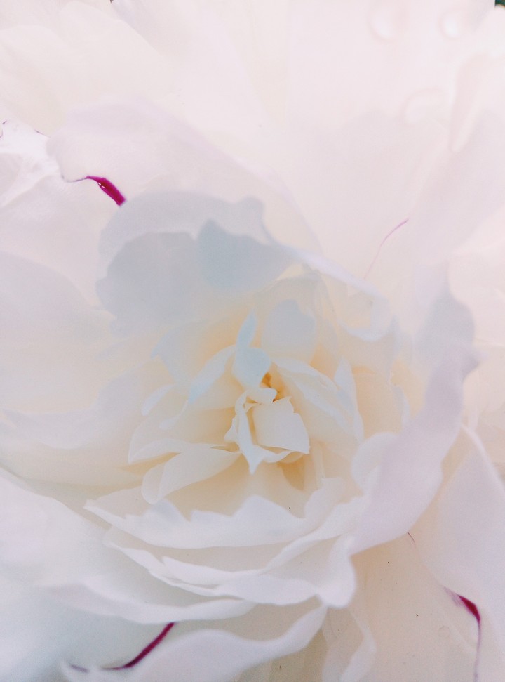 pion