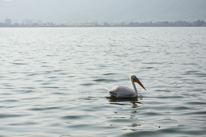 India lake