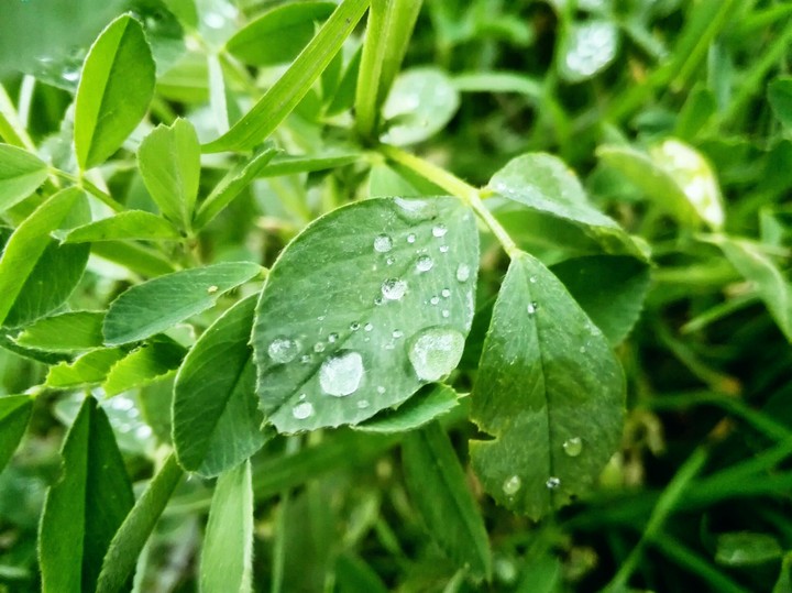 Rainy Afternoon