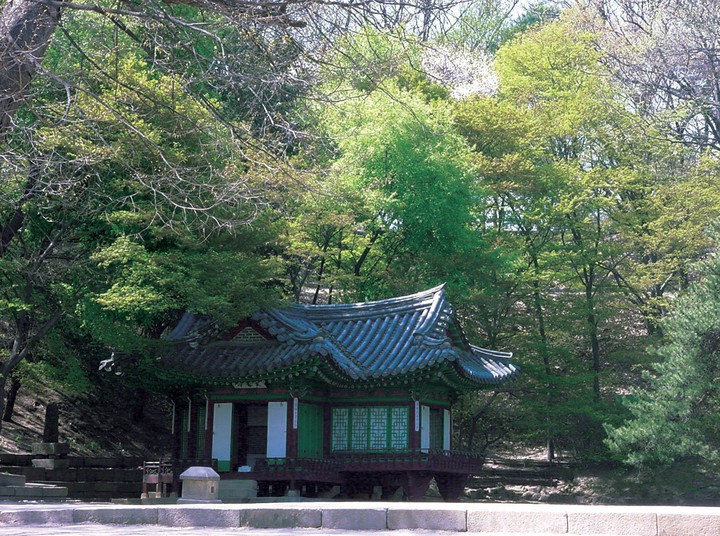 풍경이미지