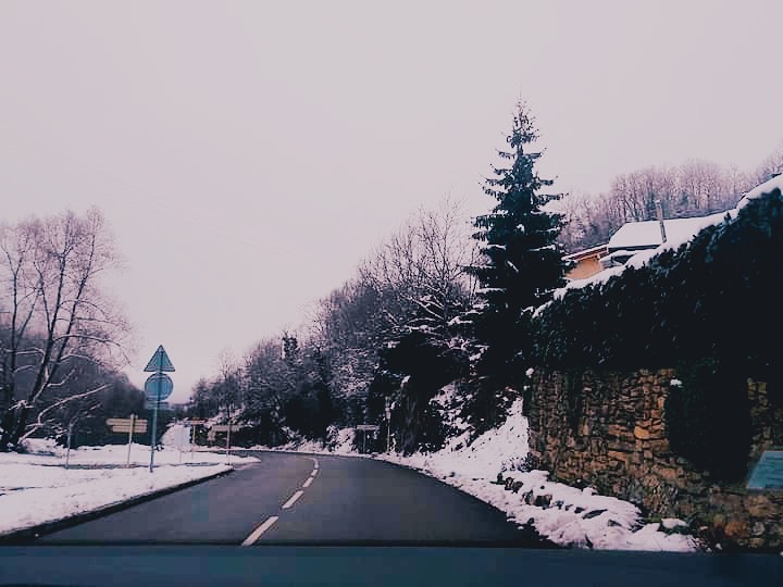nieve