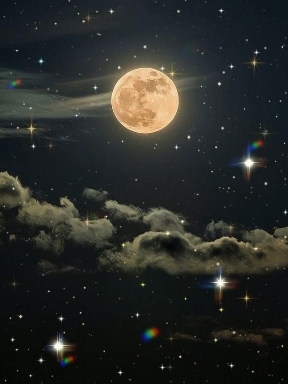 Good night ✨✨✨