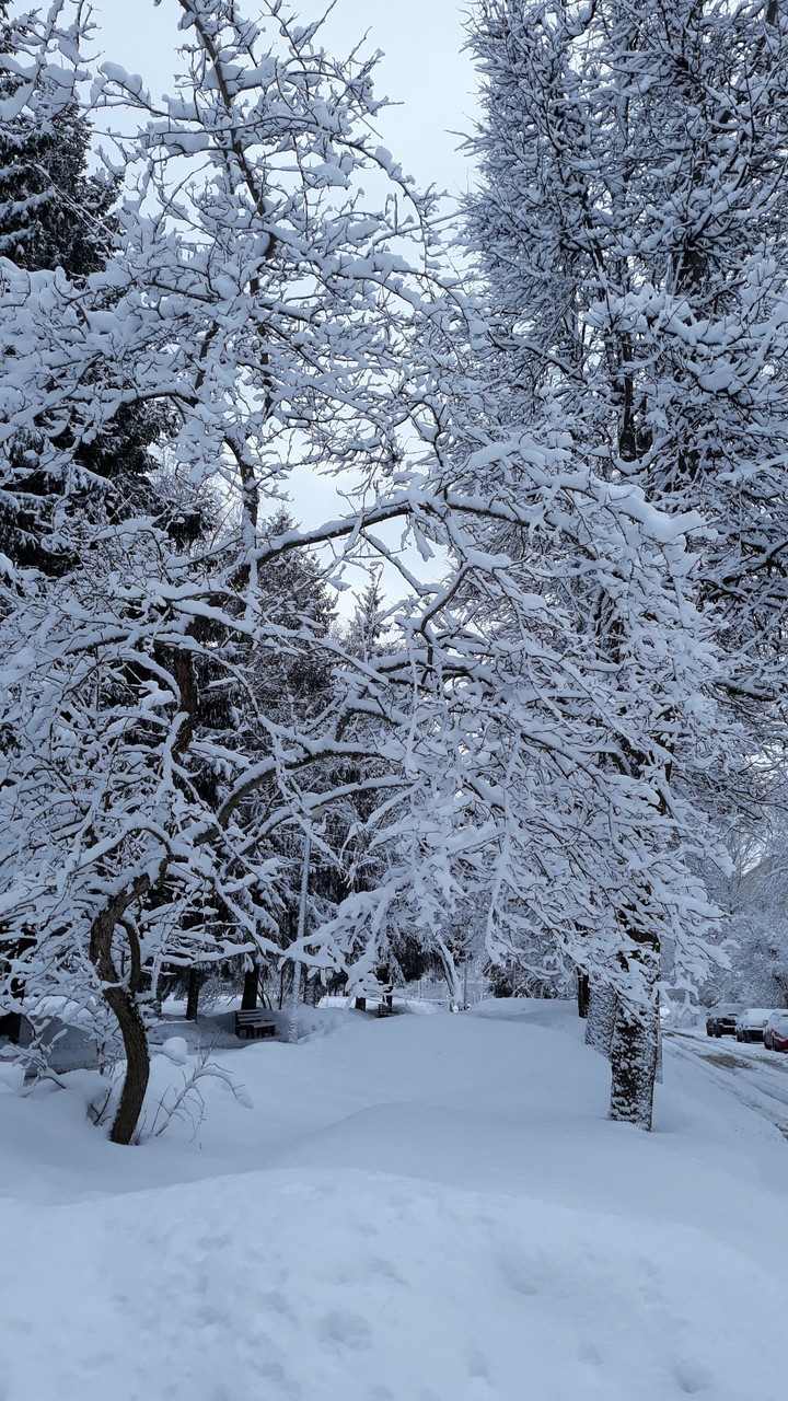 winter