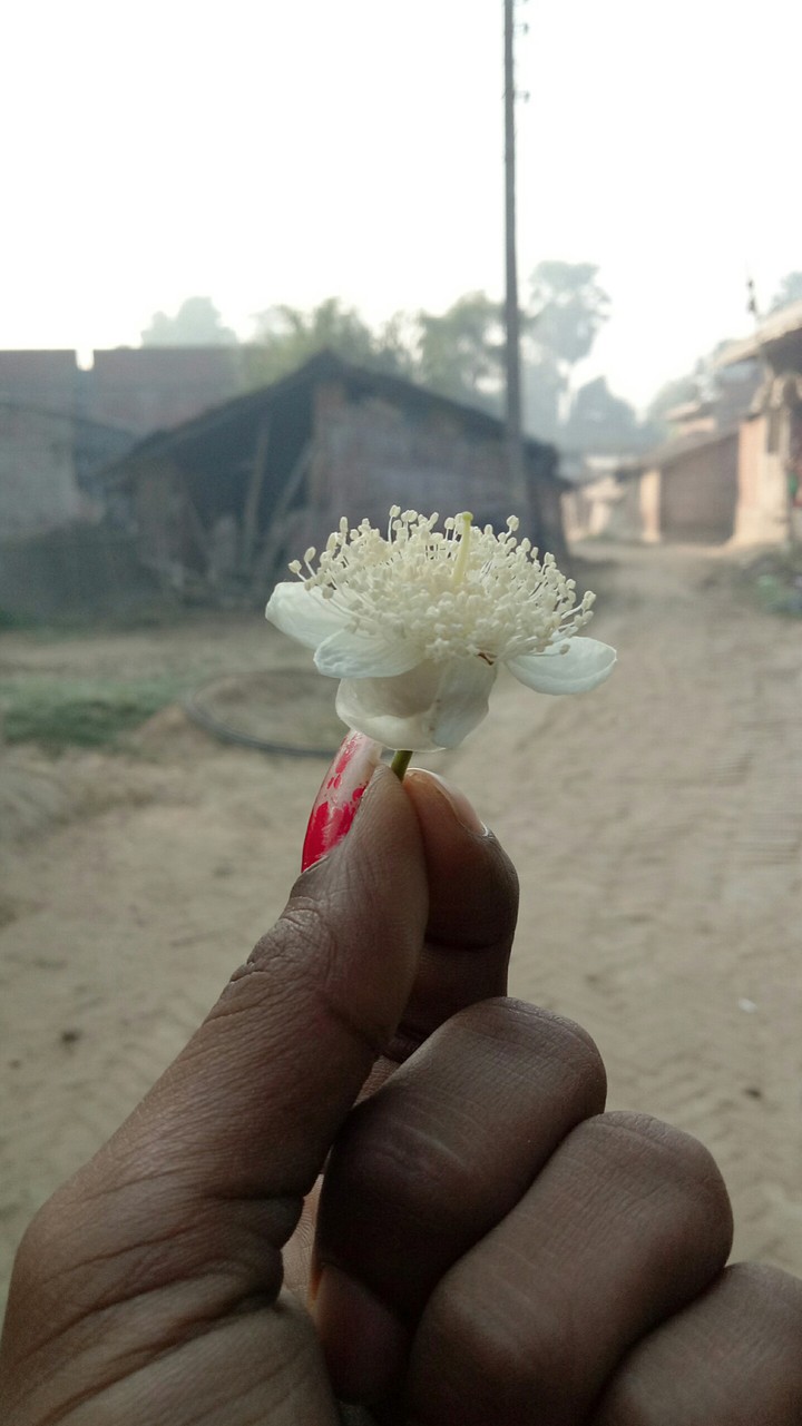 sanjit