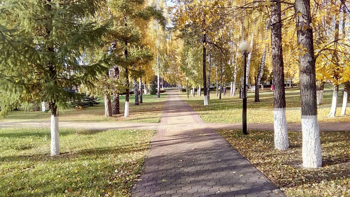 2016
