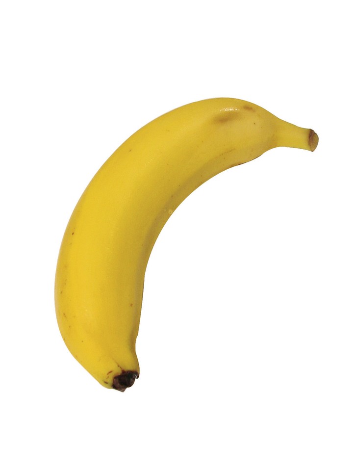 음식이미지