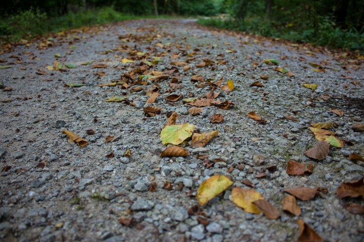 Autumn