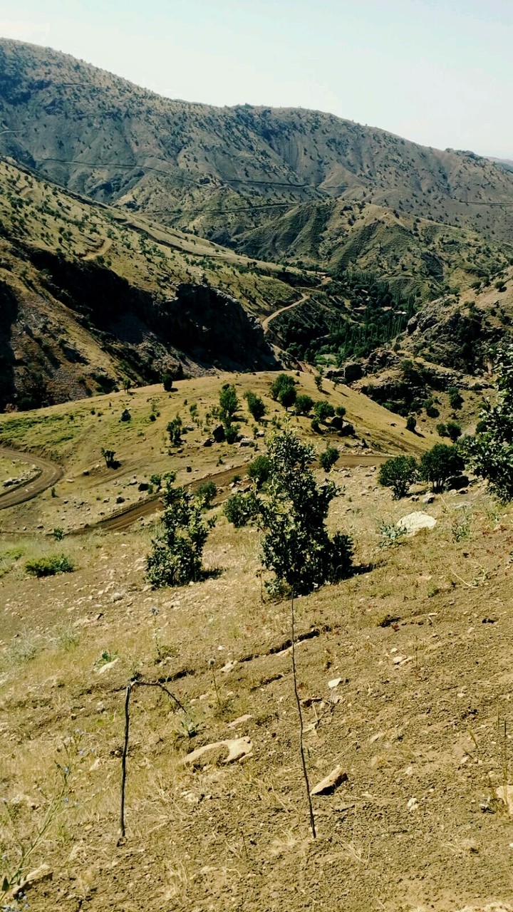 Adiyaman/Turkey