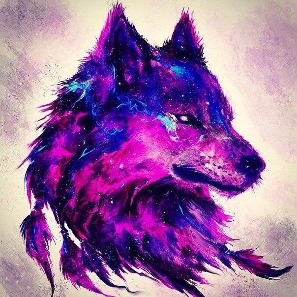 wolf