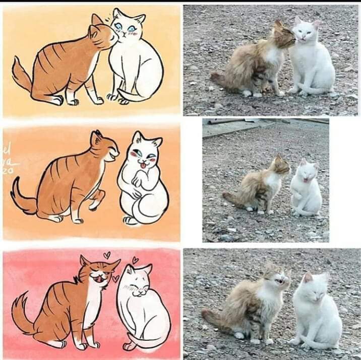 ❤