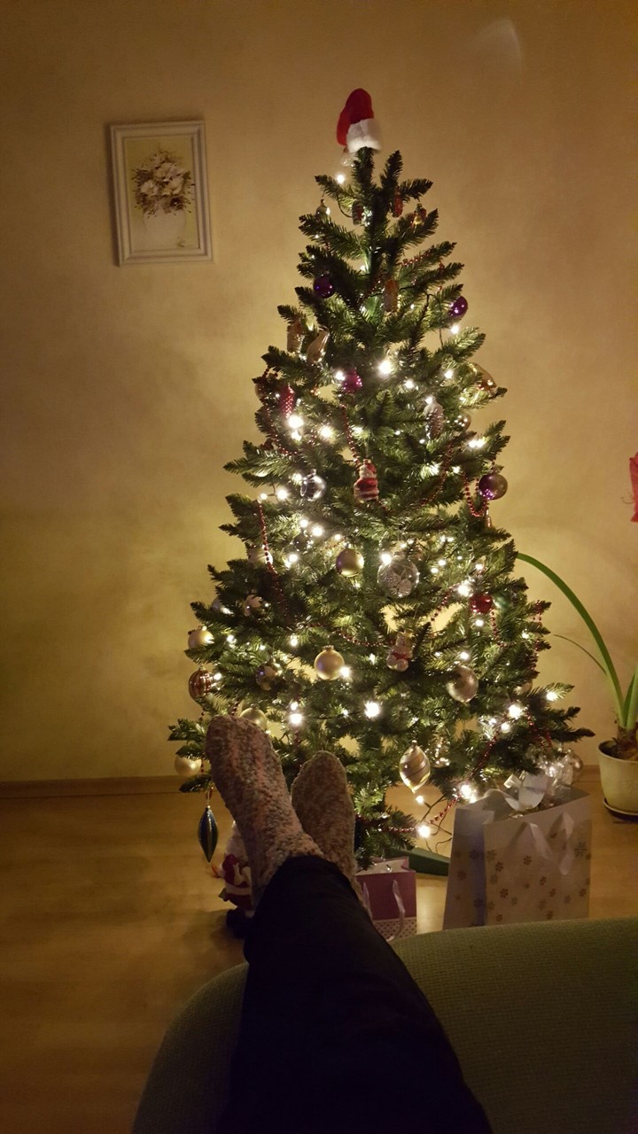 Christmas in home