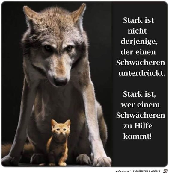 stay strong