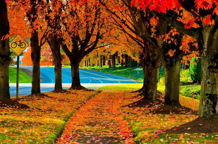 Autumn is my Favorite season!