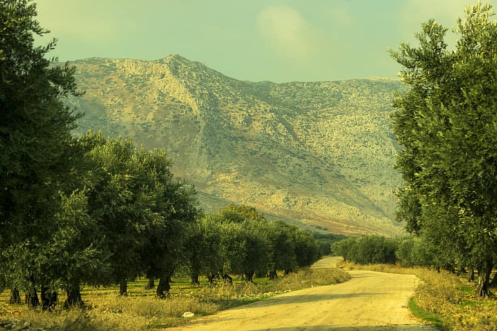 Idleb/Syria