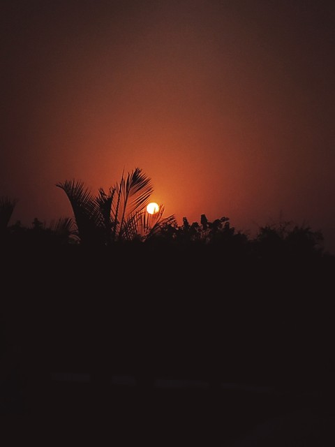 evening veiw