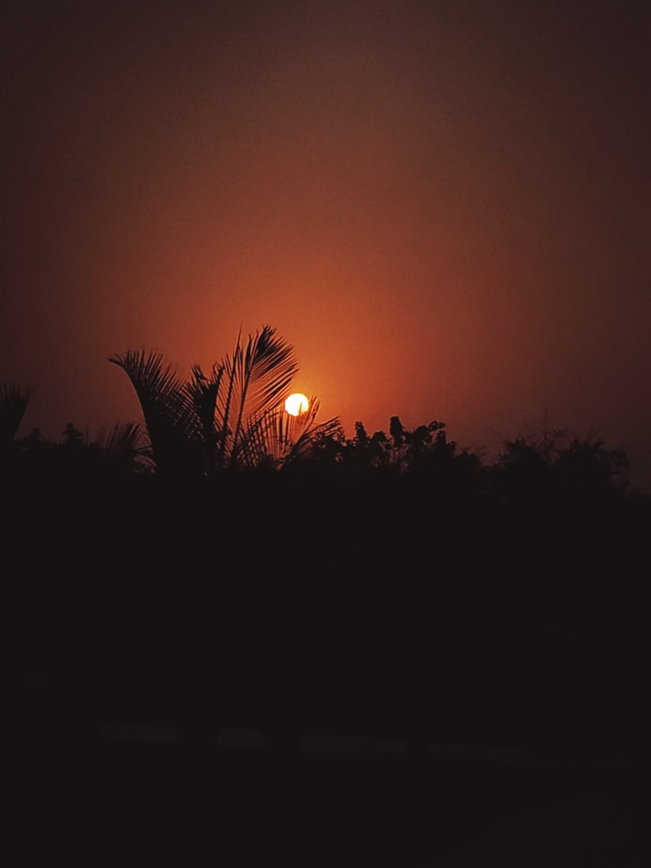 evening veiw