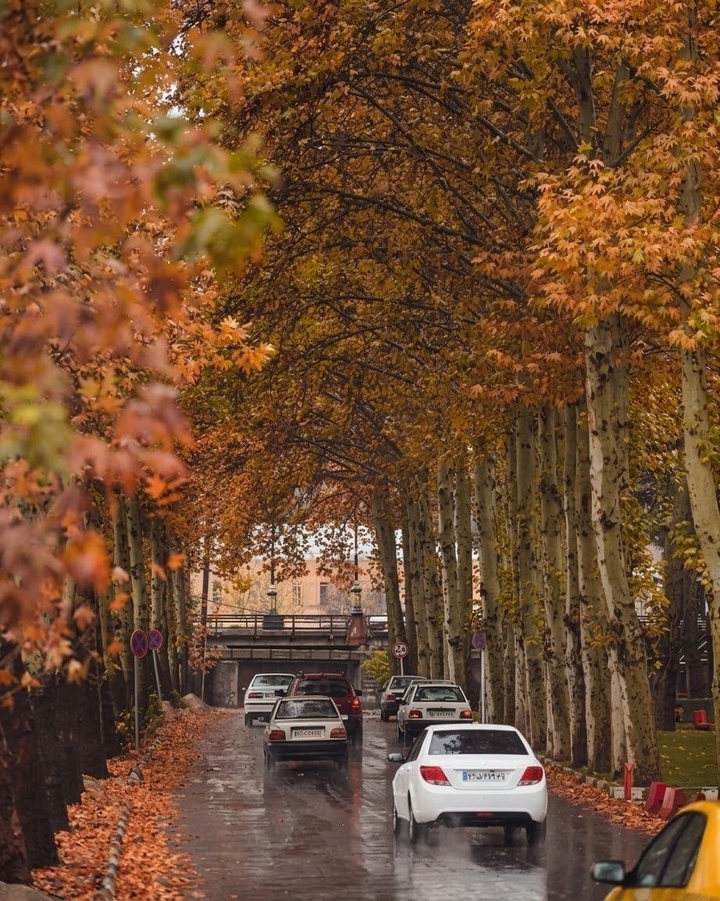 fondos de pantalla Autumn, car
