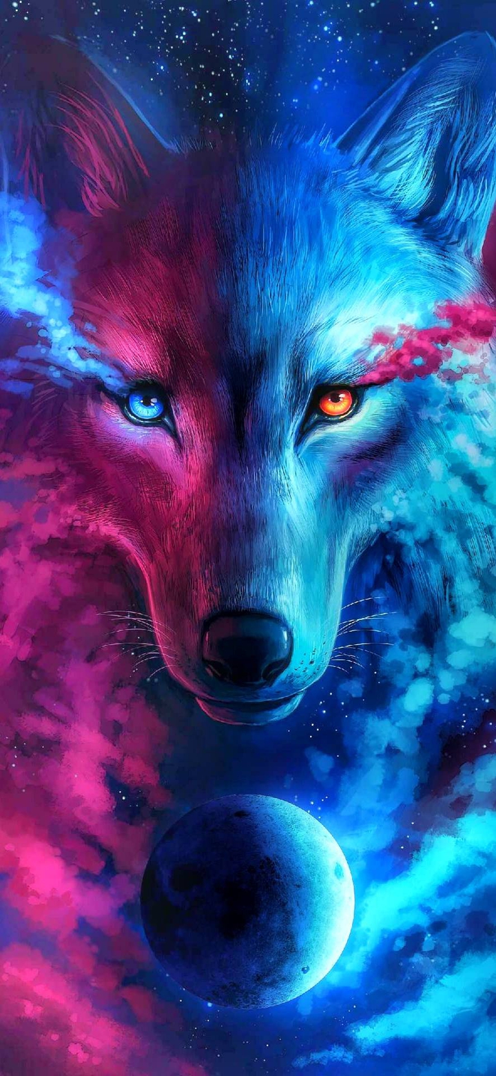 wolf