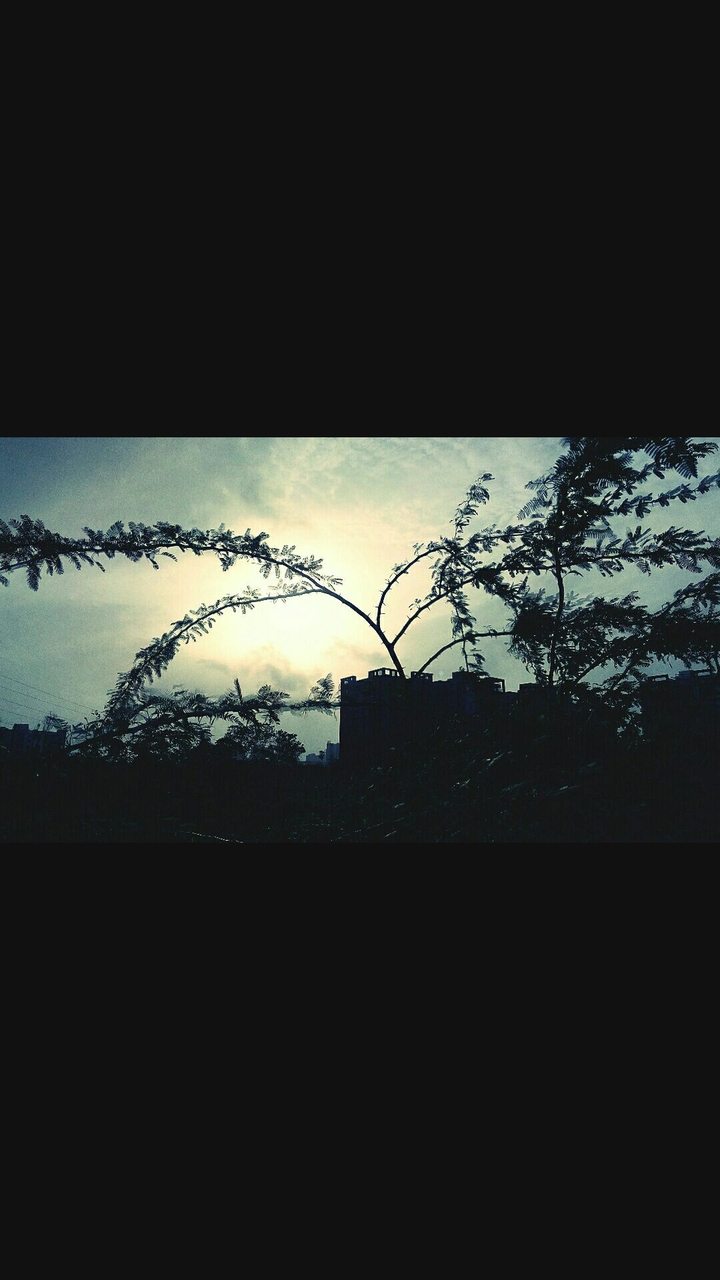Sunset.
