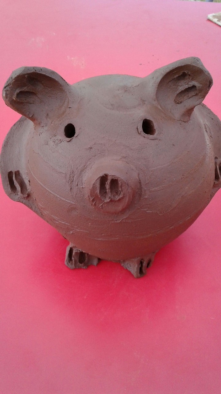 pig