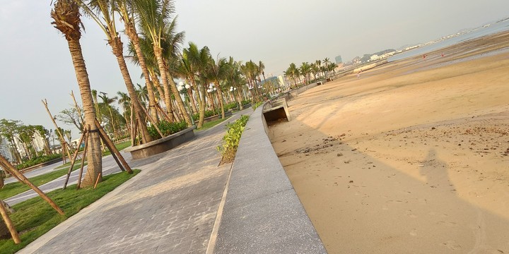 Bước chân lang thang