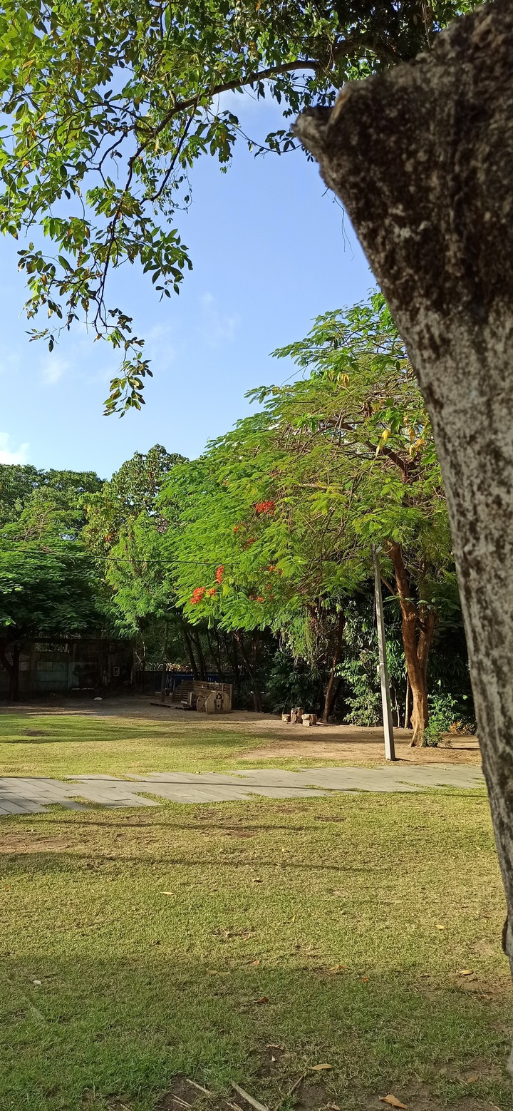 Natureza
