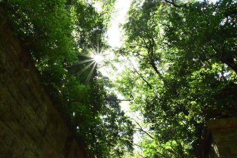 Nature and Unnatural