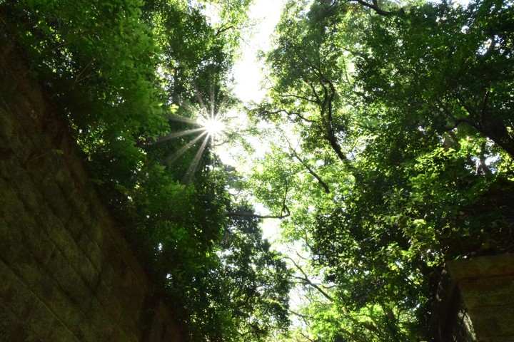 Nature and Unnatural