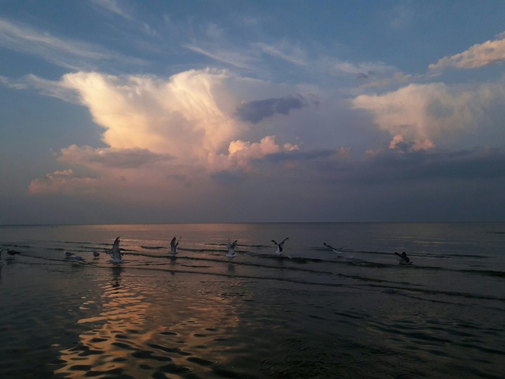 Sea