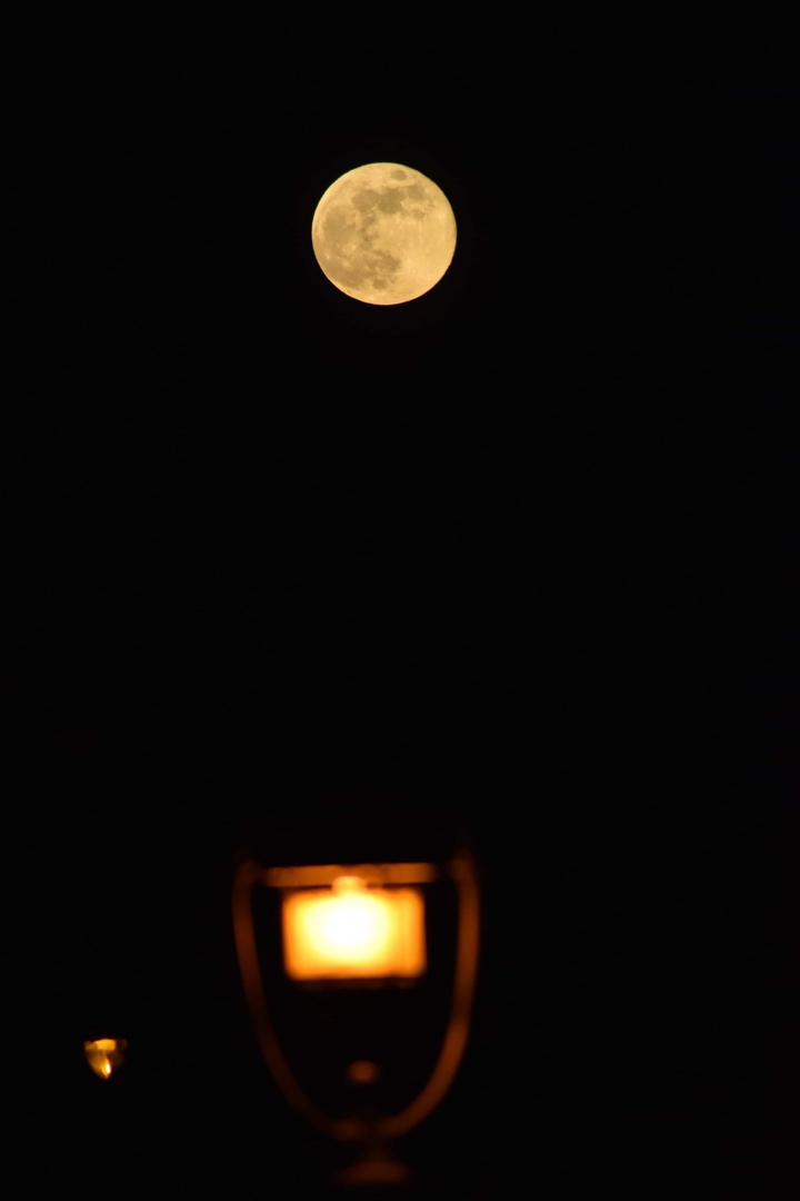 moon