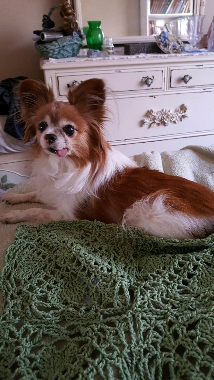 My Beautiful Girl
