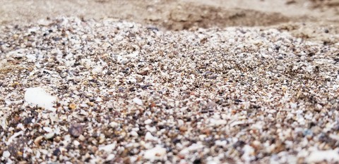 sea shore