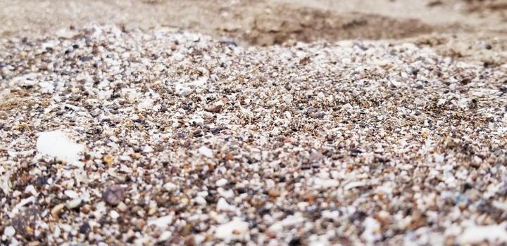 sea shore