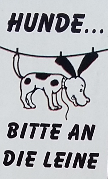 hund