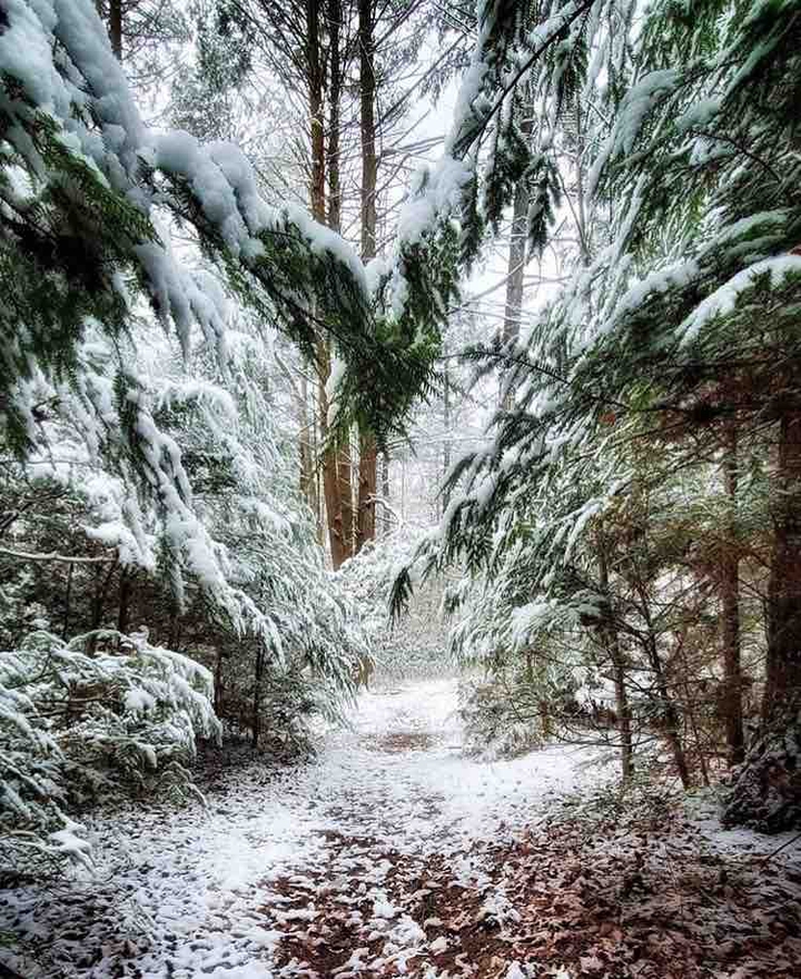 snow