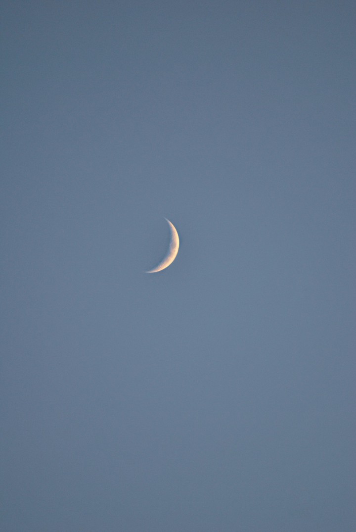 moon -my click-