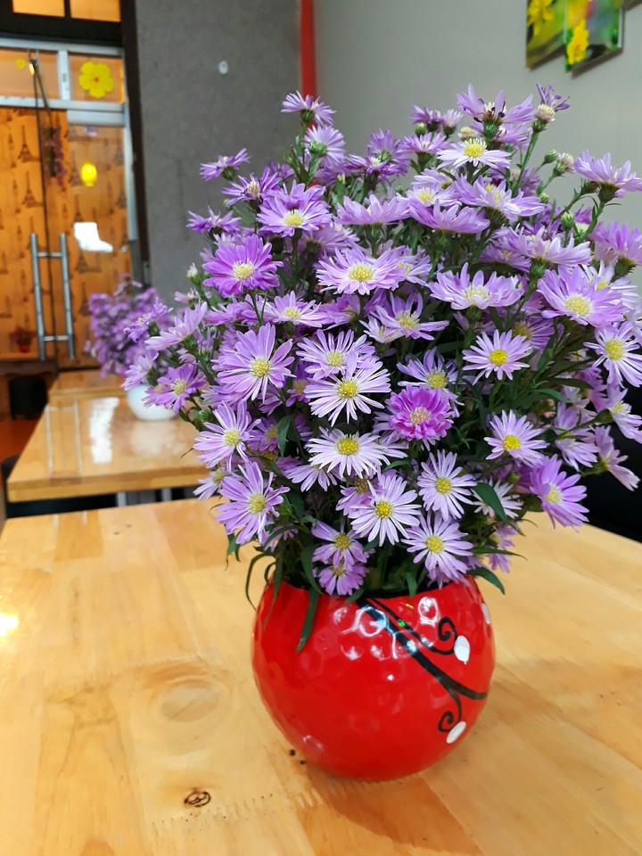 flowers