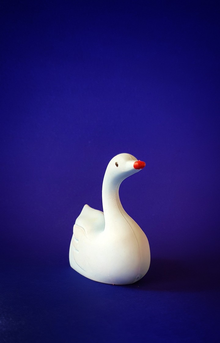 duck
