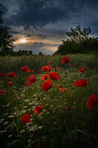 Beautiful scenery