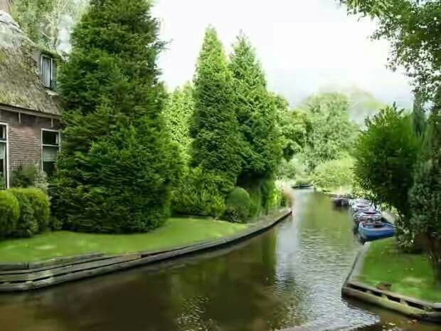 beautiful nature