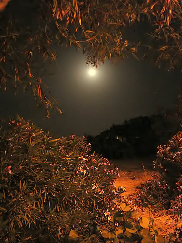 autumn night