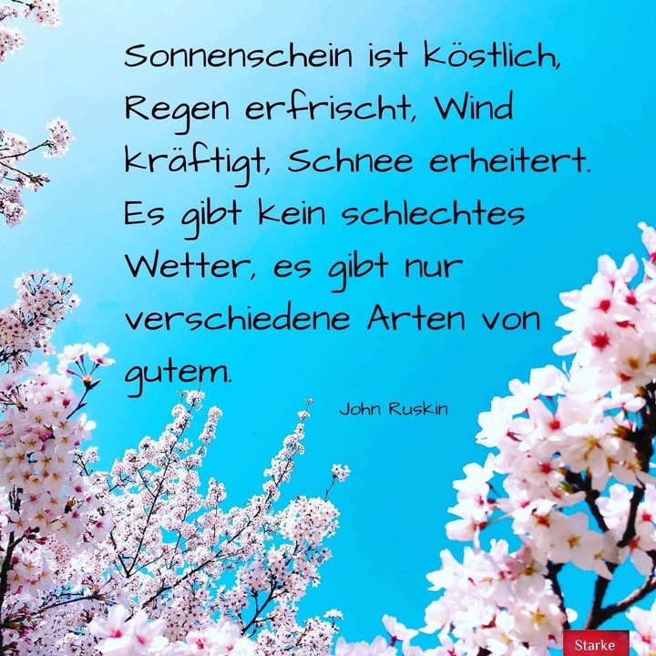das Wetter