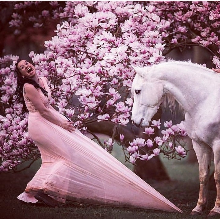 horsed