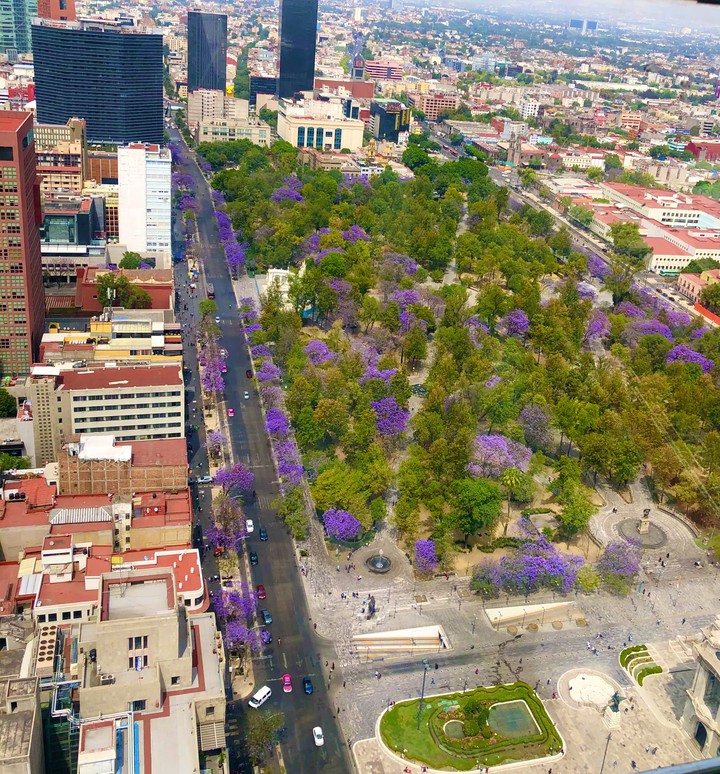 Alameda Central desde Torre Latinoamericana